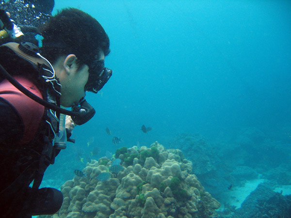 Jeng diving, Racha Island