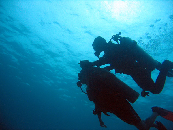 PADI Introduction to Scuba Diving for Jeng