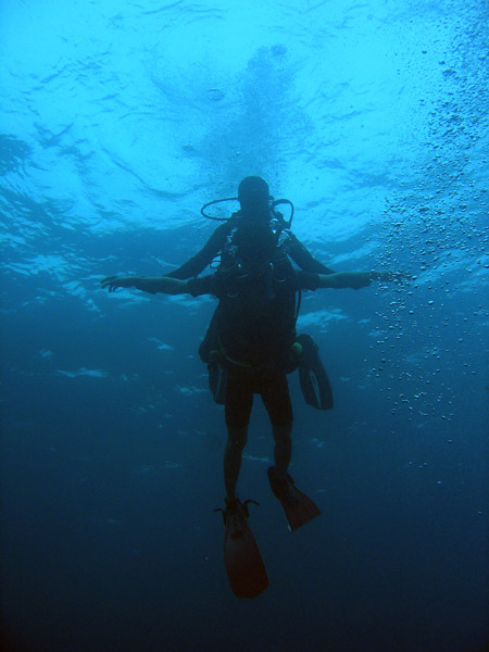 Divers surfacing