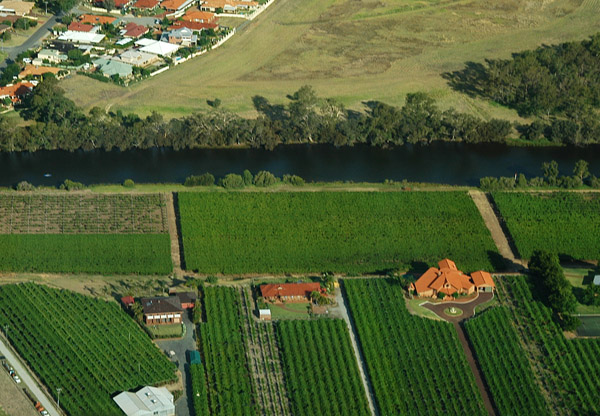 Vineyards along the Swan River, Caversham, Western Australia