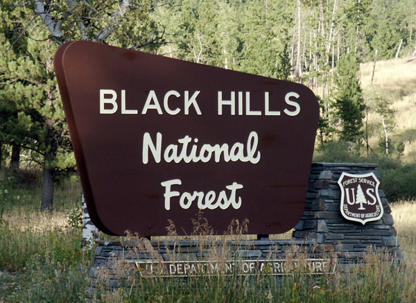 Black Hills National Forest, South Dakota