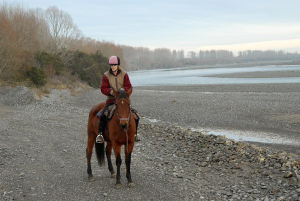 Waimak River Horse Trek