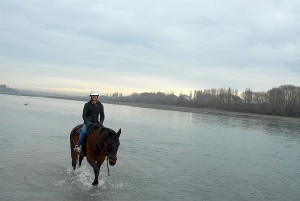 Waimak River Horse Trek