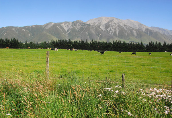 Mount Hutt rising behind the Canterbury Plain