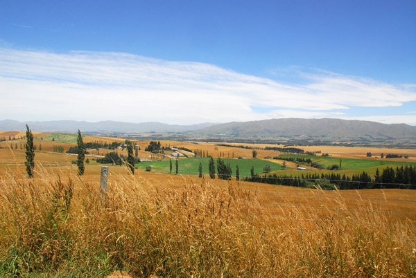 Back on the flat land headed for Lake Tekapo