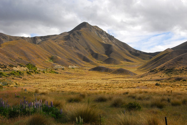 Lindis Pass Scenic Reserve