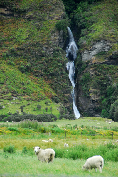 Sheep and waterfall
