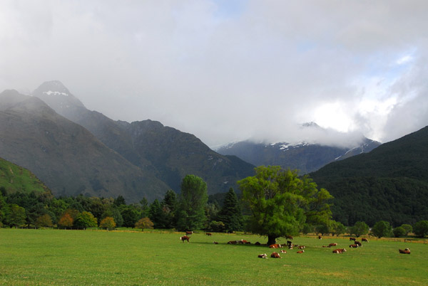 Pastoral scene with a backdrop of Mount Aspiring National Park