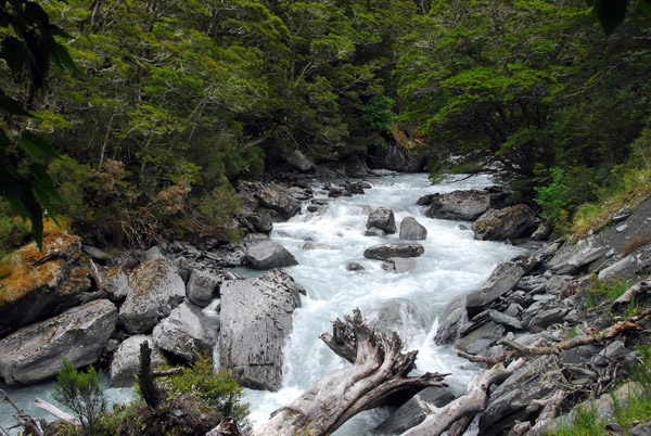 Rob Roy Stream, Mount Aspiring National Park