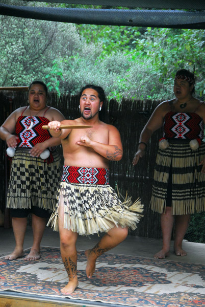 Maori cultural performance, Kiwi & Birdlife Park