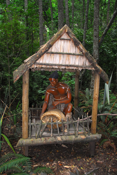 Maori camp, Kiwi & Birdlife Park