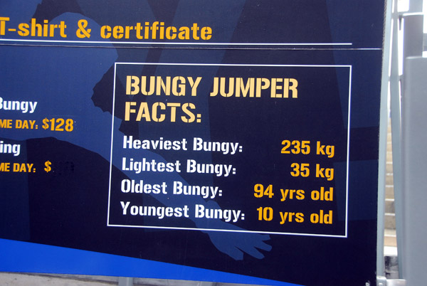 Bungy Jumper Stats at AJ Hackett
