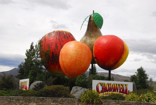 Giant fruit, Cromwell