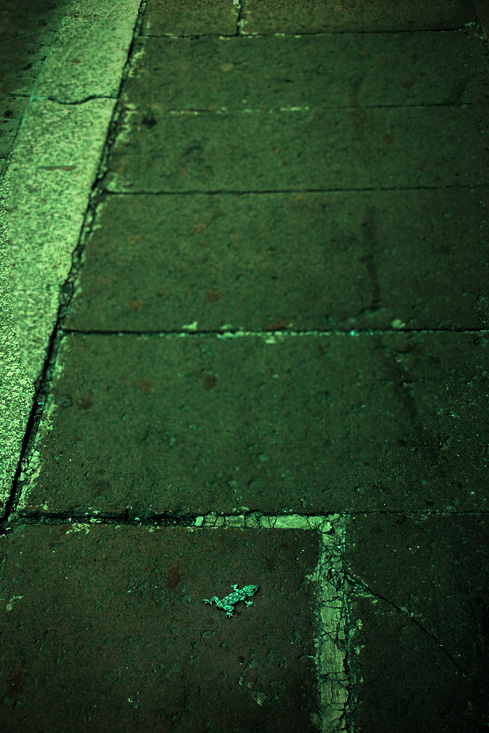 sidewalk at night