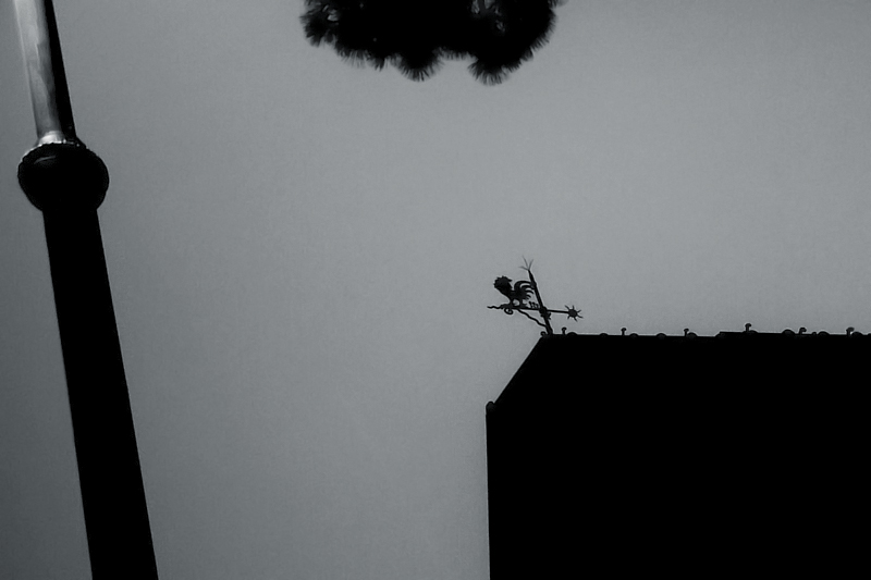diverse directions (subtilely diverging)
