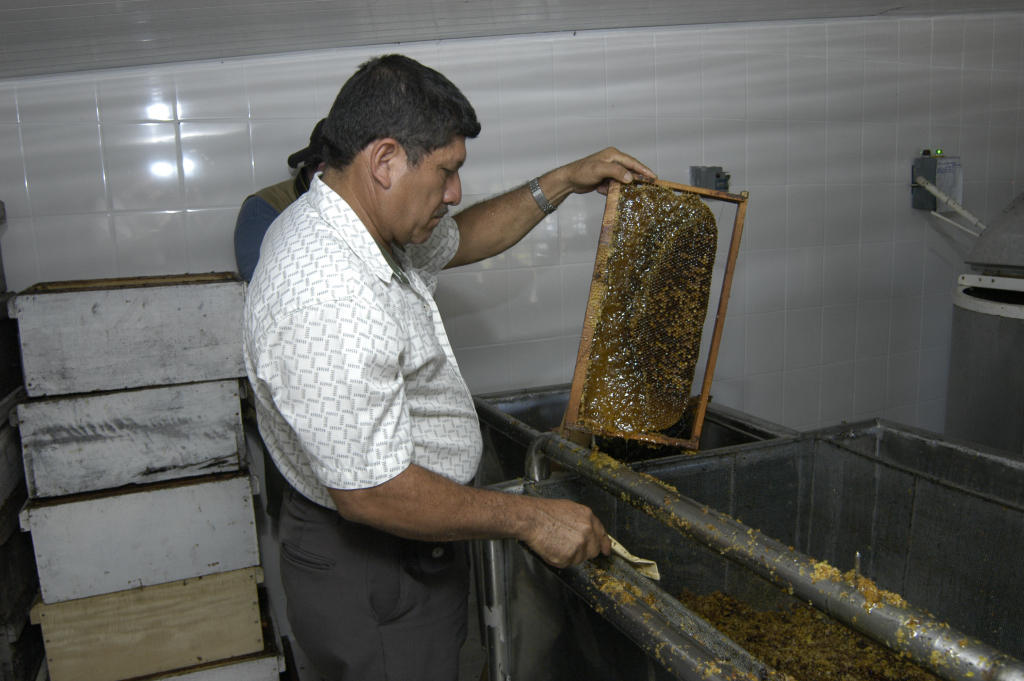 Jose uncapping a frame