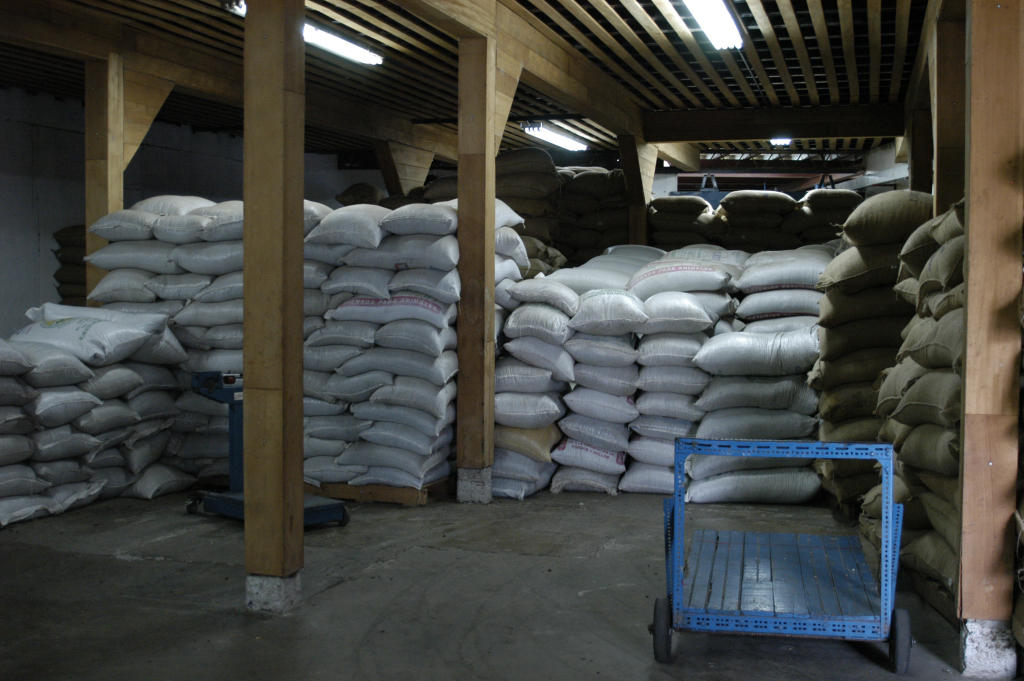 Sacks of coffee beans