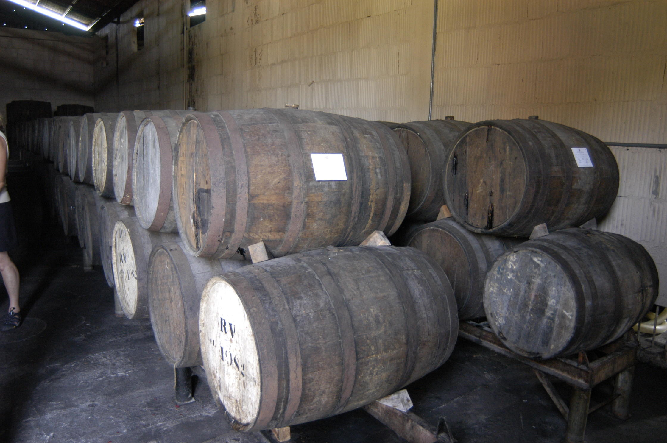 Barrels of rum