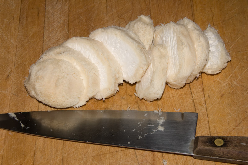 Pom Pom Mushrooms (Hericium sp.)
