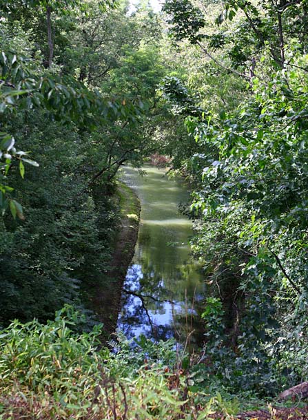 Canal North from Ridge