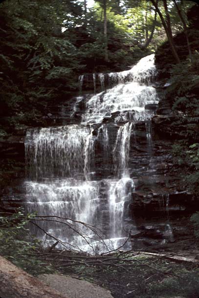 Ganoga Falls