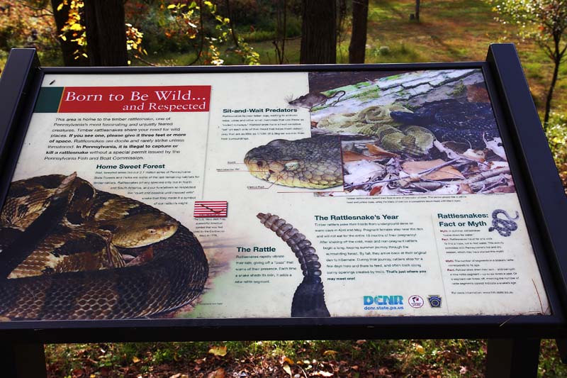 Rattlesnake Info Sign
