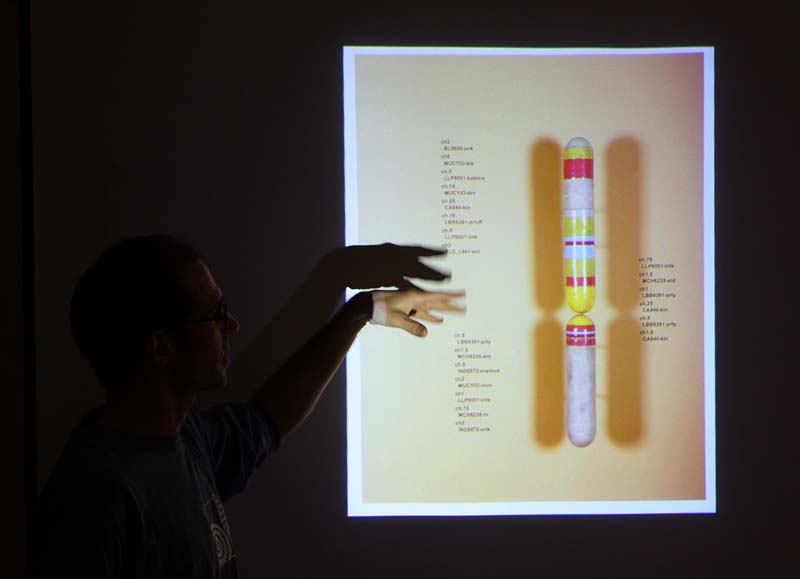 Explaining a Piece