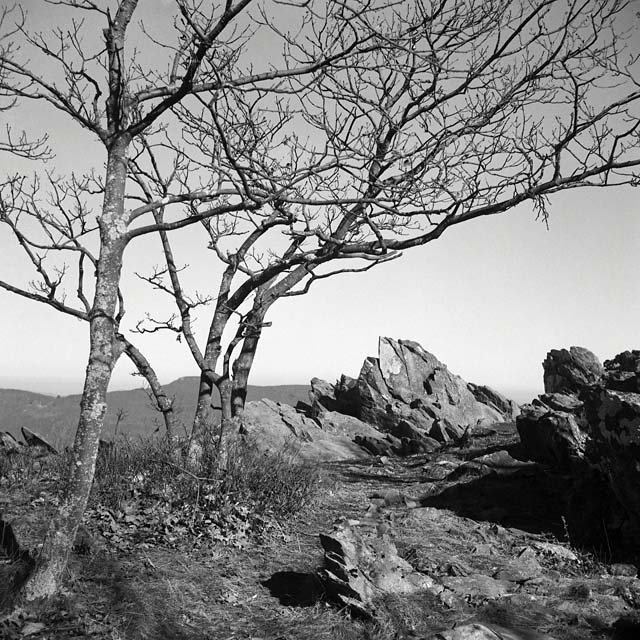 Hawksbill Overlook