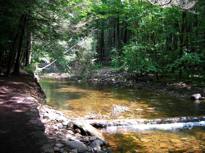 Kitchen Creek - Trailside