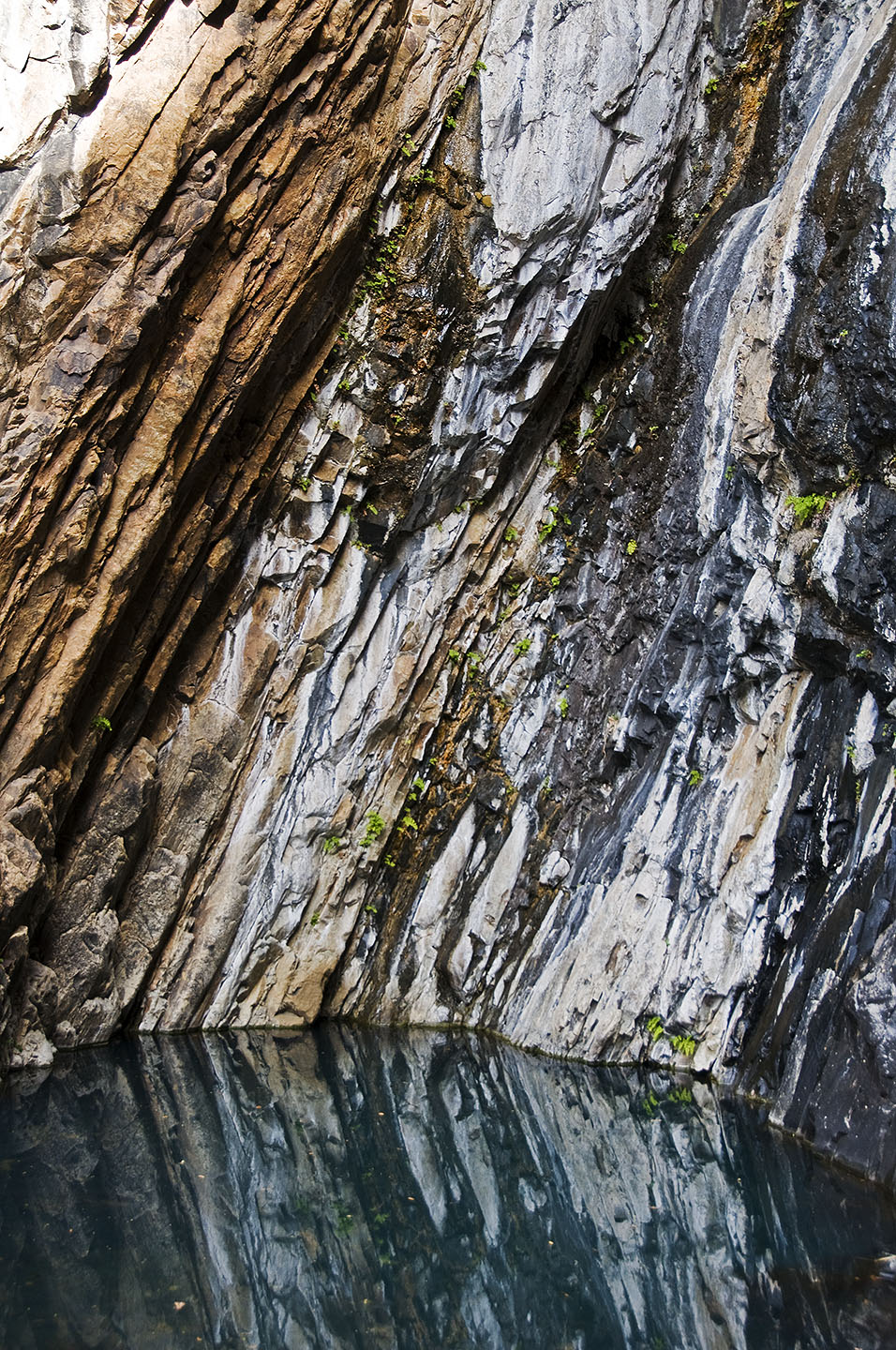 Pool at Cattails Falls