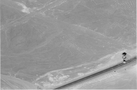 nasca lines