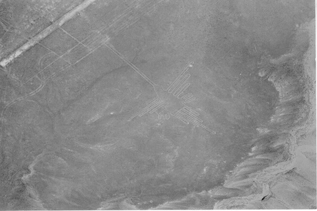 nasca lines