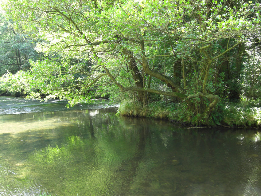 Still Water
