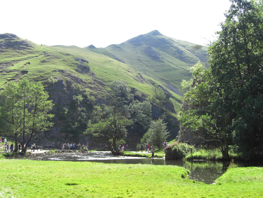 A View