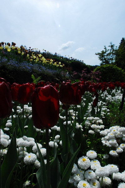 TAI_0551.JPG