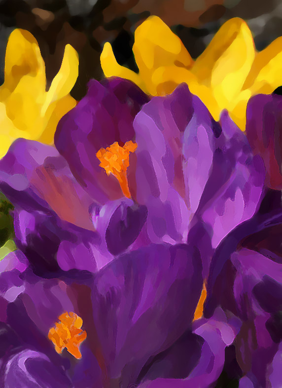crocus jb.jpg
