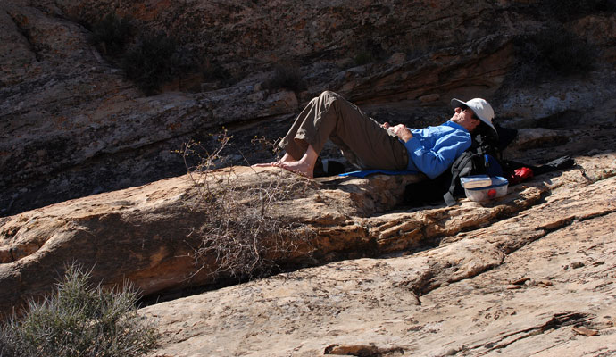 Resting in the reef