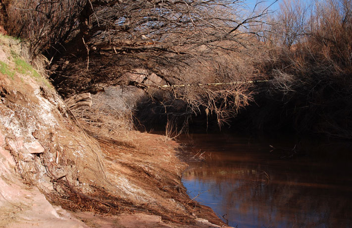 Trail follows the shelf next to the creek; horizontal white line appears in next photo close up