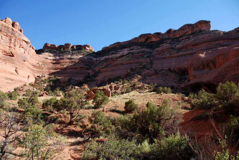 View of end of canyon  (my turn-around point)