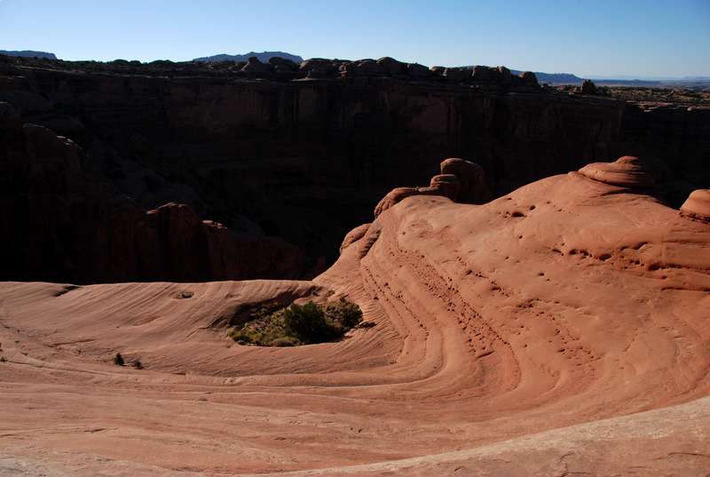 A garden within a bowl, next to a scary drop-off