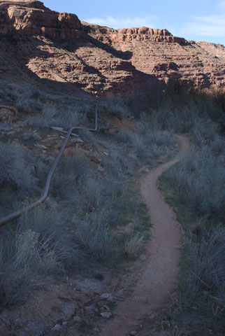 The pipeline follows the trail for a while; trail goes into sunlit area at rear