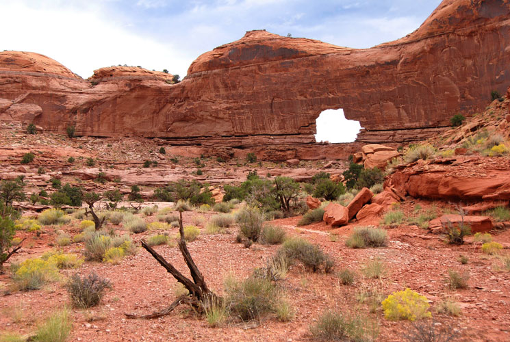First look at Jeep Arch