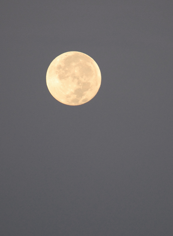  Full moon