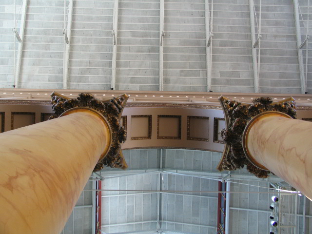 Looking up.jpg