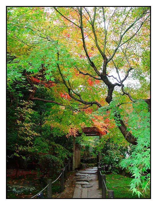 Tenjyuan, Kyoto