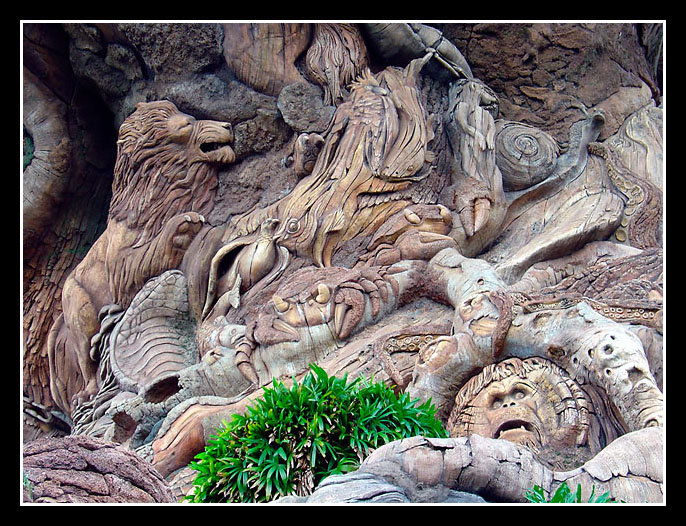 Carvings on Tree of Life, Animal Kingdom, Orlando