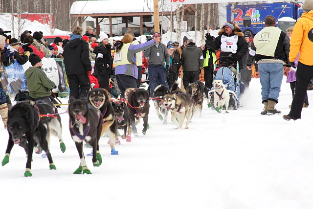 Iditarod Photos - 2008