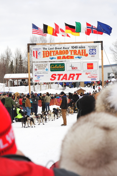 Iditarod Photos - 2008