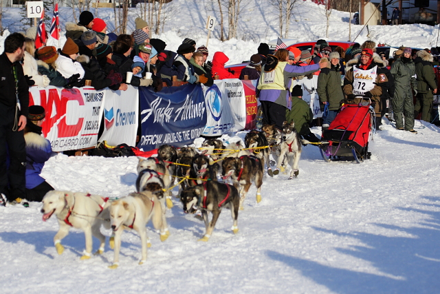 Iditarod Photos - 2008