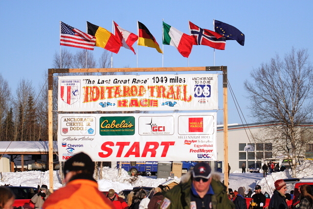 Iditarod Photos - 2008